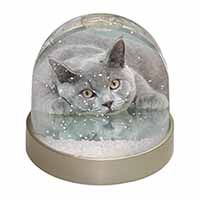 British Blue Cat Laying on Glass Snow Globe Photo Waterball