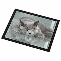 British Blue Cat Laying on Glass Black Rim High Quality Glass Placemat