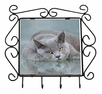 British Blue Cat Laying on Glass Wrought Iron Key Holder Hooks