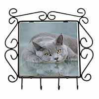 British Blue Cat Laying on Glass Wrought Iron Key Holder Hooks