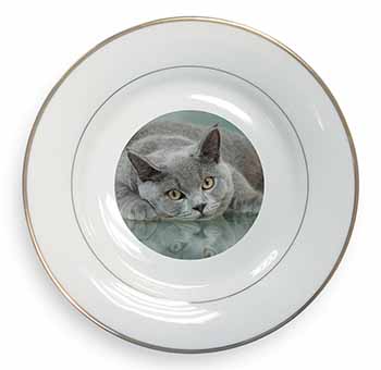 British Blue Cat Laying on Glass Gold Rim Plate Printed Full Colour in Gift Box