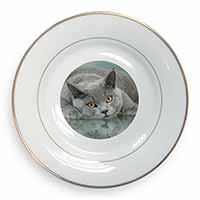 British Blue Cat Laying on Glass Gold Rim Plate Printed Full Colour in Gift Box