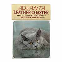 British Blue Cat Laying on Glass Single Leather Photo Coaster