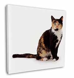 Tortoiseshell Cat Square Canvas 12"x12" Wall Art Picture Print