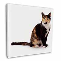 Tortoiseshell Cat Square Canvas 12"x12" Wall Art Picture Print