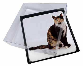 4x Tortoiseshell Cat Picture Table Coasters Set in Gift Box