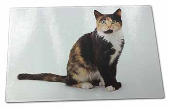 Large Glass Cutting Chopping Board Tortoiseshell Cat