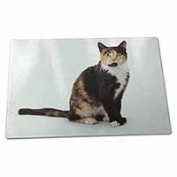 Large Glass Cutting Chopping Board Tortoiseshell Cat