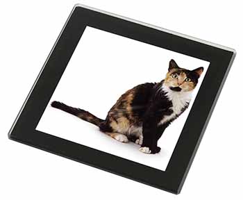 Tortoiseshell Cat Black Rim High Quality Glass Coaster