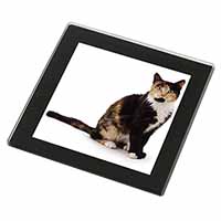 Tortoiseshell Cat Black Rim High Quality Glass Coaster