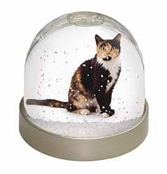 Tortoiseshell Cat Snow Globe Photo Waterball