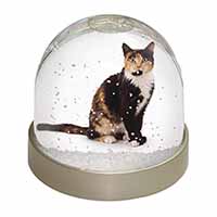 Tortoiseshell Cat Snow Globe Photo Waterball