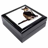 Tortoiseshell Cat Keepsake/Jewellery Box