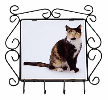 Tortoiseshell Cat Wrought Iron Key Holder Hooks