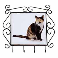 Tortoiseshell Cat Wrought Iron Key Holder Hooks