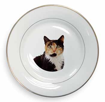 Tortoiseshell Cat Gold Rim Plate Printed Full Colour in Gift Box