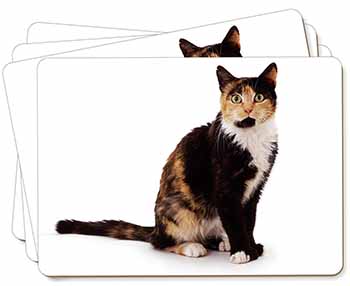 Tortoiseshell Cat Picture Placemats in Gift Box