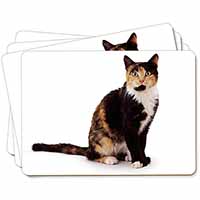 Tortoiseshell Cat Picture Placemats in Gift Box