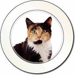 Tortoiseshell Cat Car or Van Permit Holder/Tax Disc Holder