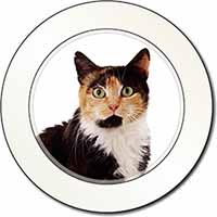 Tortoiseshell Cat Car or Van Permit Holder/Tax Disc Holder