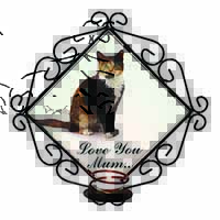 Tortoiseshell Cat 