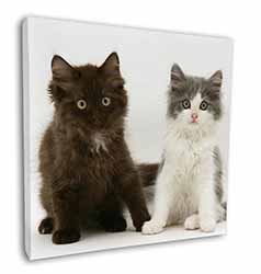 Cute Kittens Square Canvas 12"x12" Wall Art Picture Print