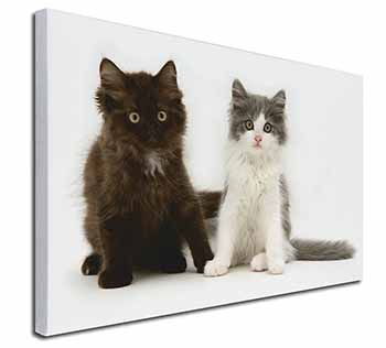 Cute Kittens Canvas X-Large 30"x20" Wall Art Print