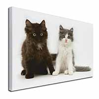 Cute Kittens Canvas X-Large 30"x20" Wall Art Print