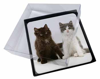 4x Cute Kittens Picture Table Coasters Set in Gift Box