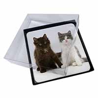 4x Cute Kittens Picture Table Coasters Set in Gift Box