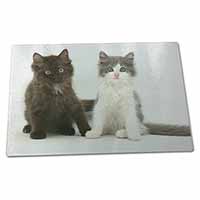 Large Glass Cutting Chopping Board Cute Kittens