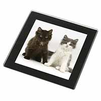 Cute Kittens Black Rim High Quality Glass Coaster