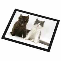 Cute Kittens Black Rim High Quality Glass Placemat