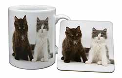 Cute Kittens Mug and Coaster Set
