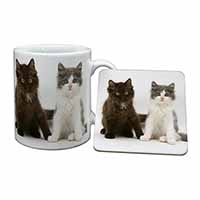 Cute Kittens Mug and Coaster Set