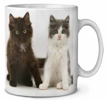 Cute Kittens Ceramic Coffee Mug/Tea Cup