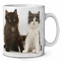 Cute Kittens Ceramic 10oz Coffee Mug/Tea Cup