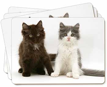 Cute Kittens Picture Placemats in Gift Box
