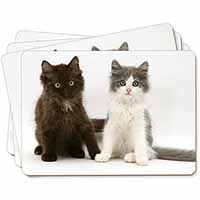 Cute Kittens Picture Placemats in Gift Box
