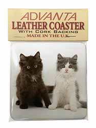 Cute Kittens Single Leather Photo Coaster