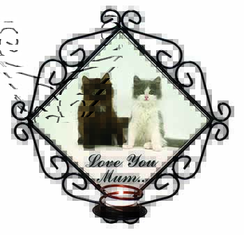 Cute Kittens 