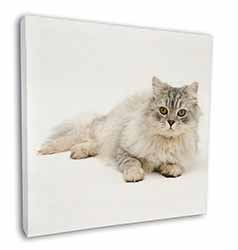 Silver Chinchilla Persian Cat Square Canvas 12"x12" Wall Art Picture Print