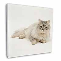 Silver Chinchilla Persian Cat Square Canvas 12"x12" Wall Art Picture Print