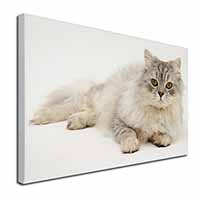 Silver Chinchilla Persian Cat Canvas X-Large 30"x20" Wall Art Print