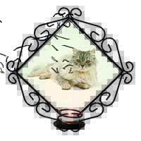 Silver Chinchilla Persian Cat Wrought Iron Wall Art Candle Holder