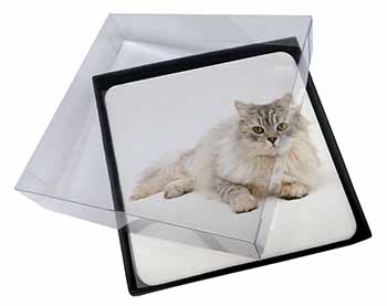 4x Silver Chinchilla Persian Cat Picture Table Coasters Set in Gift Box