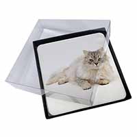 4x Silver Chinchilla Persian Cat Picture Table Coasters Set in Gift Box