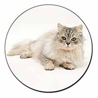 Silver Chinchilla Persian Cat Fridge Magnet Printed Full Colour