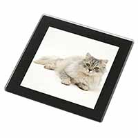 Silver Chinchilla Persian Cat Black Rim High Quality Glass Coaster