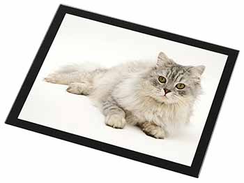 Silver Chinchilla Persian Cat Black Rim High Quality Glass Placemat